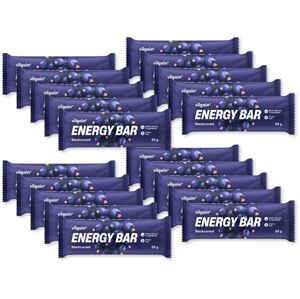 Vilgain Energy Bar –  20× čierne ríbezle 55 g
