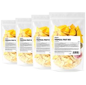 Vilgain Mix lyofilizovaného tropického ovocia –  4× 45 g