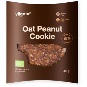 Vilgain Oat Peanut Cookie BIO 40 g