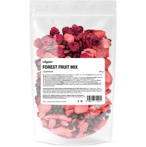 Vilgain Mix lyofilizovaného lesného ovocia – 45 g