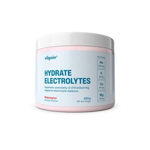 Vilgain Elektrolyty – melón 320 g