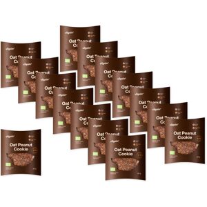 Vilgain Oat Peanut Cookie BIO –  15× 40 g