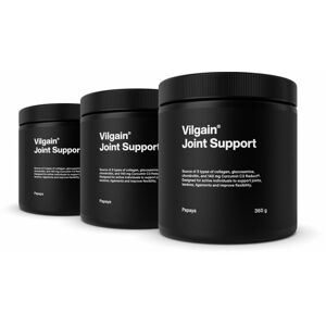 Vilgain Joint Support –  3× papája 360 g