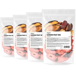Vilgain Mix lyofilizovaného záhradného ovocia –  4× 45 g