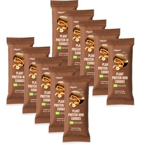 Vilgain Plant Protein Mini Cookies BIO –  10× Lieskovorieškový fondán 50 g (2 x 25 g)