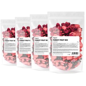 Vilgain Mix lyofilizovaného lesného ovocia –  4× 45 g