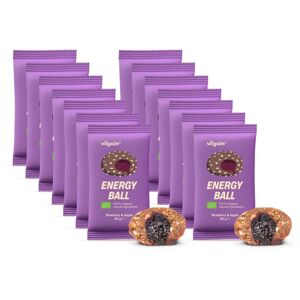 Vilgain Energy Ball BIO –  14× čučoriedka a jablko 30 g