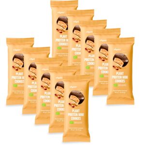 Vilgain Plant Protein Mini Cookies BIO –  10× Arašidy so slaným karamelom 50 g (2 x 25 g)