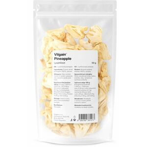 Vilgain Ananás lyofilizovaný 50 g