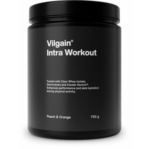 Vilgain Intra Workout – broskyňa a pomaranč 750 g