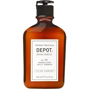 DEPOT No. 101 Šampón pre každodenné použitie 250ml