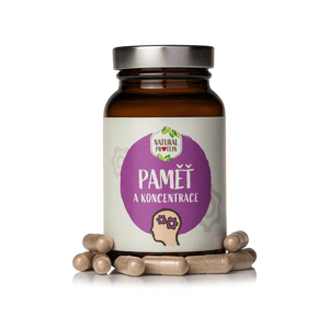 NaturalProtein Paměť a koncentrace - Velikonoce 1 kus