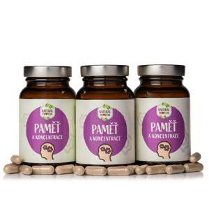 NaturalProtein Paměť a koncentrace - Velikonoce 3 kusy
