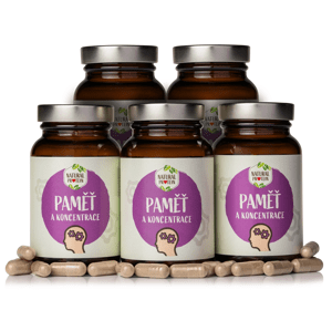 NaturalProtein Paměť a koncentrace - Velikonoce 5 kusů