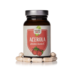 Acerola 1 kus