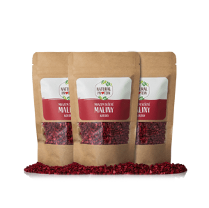NaturalProtein 3 kusy