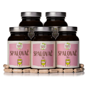 NaturalProtein 5 kusov