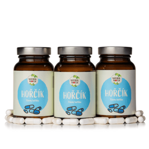 NaturalProtein 3 kusy