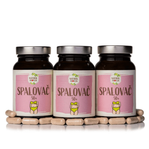 NaturalProtein Spalovač tuků 50 + Velikonoce 3 kusy