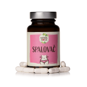 NaturalProtein Spaľovač tukov 2 kusy