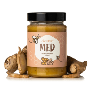 NaturalProtein Zázvorový med 1 kus