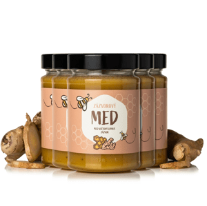 NaturalProtein Zázvorový med 5 kusov