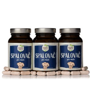 NaturalProtein Spalovač pro muže - Velikonoce 3 kusy