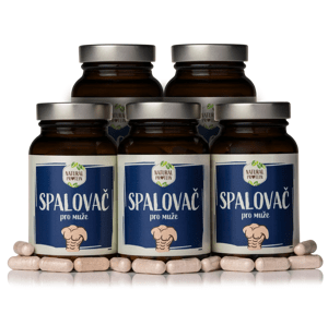 NaturalProtein Spalovač pro muže - Velikonoce 5 kusů