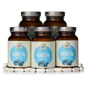 NaturalProtein 5 kusov