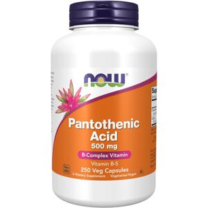 NOW potravinové doplnky, kyselina pantoténová (vitamín B-5) 500 mg, 250 kapsúl