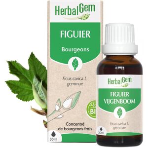 HERBALGEM Extrakt z čerstvých pukov fíg 30 ml na trávenie