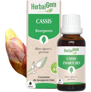 HERBALGEM Bio Čierne ríbezle Extrakt z čerstvých pukov 30 ml-bez krabice