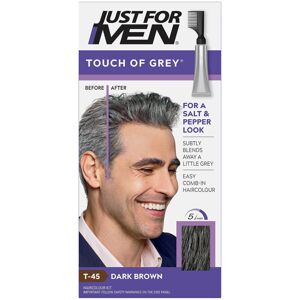 Just For Men Touch of Grey T-45 CASTANO