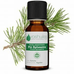 voshuiles Organický esenciálny olej z borovice lesnej, 20ml