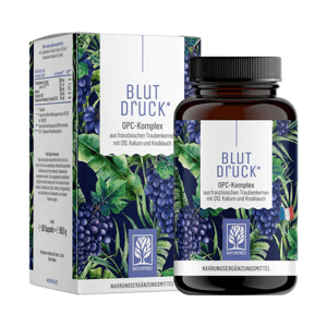 NATURTREU Blut Druck - OPC komplex s Q10, s draslíkom 90 kapsul