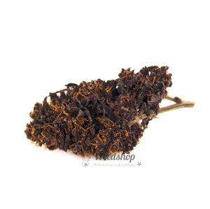 CBD konope - Auto Blackberry Kush - Weedshop Hmotnosť: 10 g