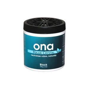 Pohlcovač pachu - ONA Block - Polar Crystal, 170 g