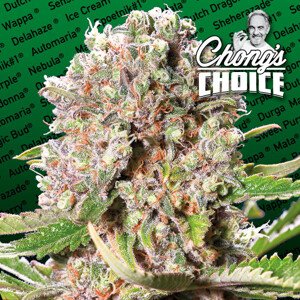 Paradise Seeds Mendocino Skunk Balenie: 3 ks