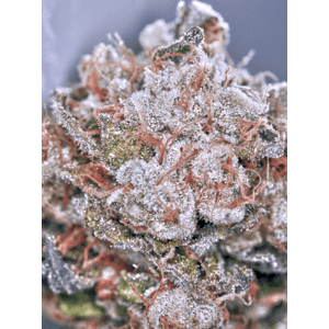 MOC Zensation 0 % THC 5 ks Balenie: 2 ks