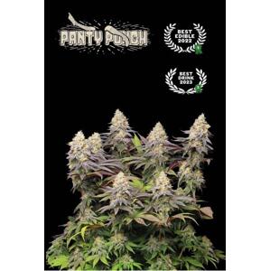 Seedstockers AK420 AUTO 0% THC Balenie: 1 ks