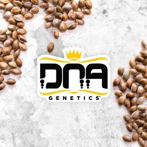 DNA Genetics MIX Pack Regular Balenie: 10 ks