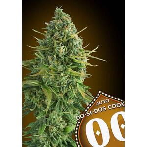 00 seeds Auto Do-si-dos-cookies Počet semien: 5 ks