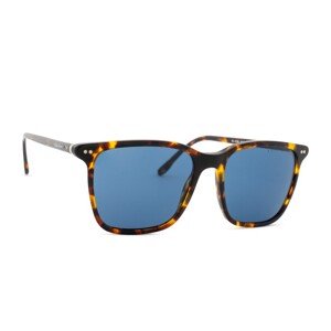 Ralph Lauren 0RL 8199 513480 53