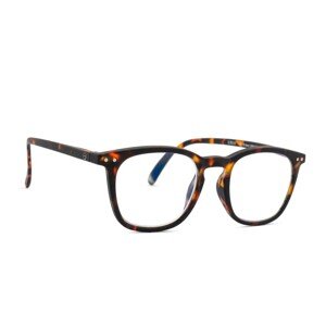 Izipizi Reading Screen #E Tortoise