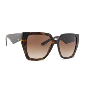 Dolce & Gabbana 0DG 4438 502/13 55