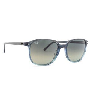 Ray-Ban Leonard RB2193 138171 55