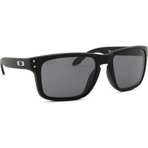 Oakley Holbrook OO 9102 E8 55