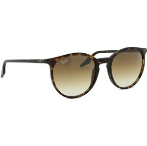 Ray-Ban RB2204 902/51 54