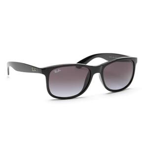 Ray-Ban Andy RB4202 601/8G 55