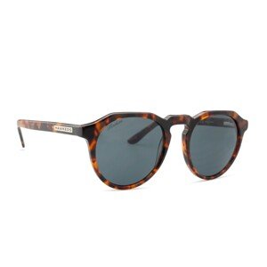 Hawkers Carey Dark Warwick X